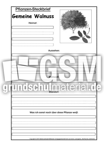 Pflanzensteckbrief-gemeine-Walnuss-SW.pdf